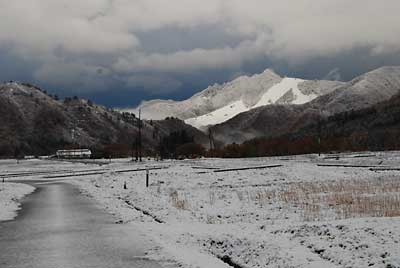 夜半から雪になったようで、今朝起きたら真っ白でした。