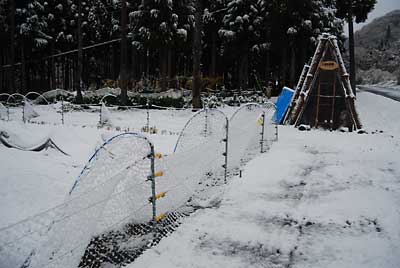 猿よけアミは、雪で折れ曲がっていました。