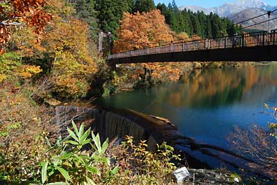 この紅葉もこの土日が見納めになりそうです。