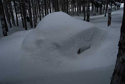 白菜を貯蔵した雪室は、雪で埋まっていました。