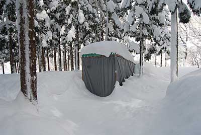 先日、除雪したばっかりなのに、あっというまに雪に 埋まってしまいました。