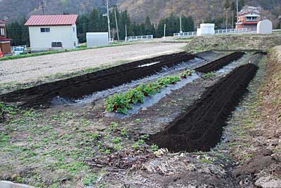 暗くなる前になんとか耕耘完了しました。