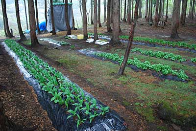 なんとか３時頃に片付けが終了しました。