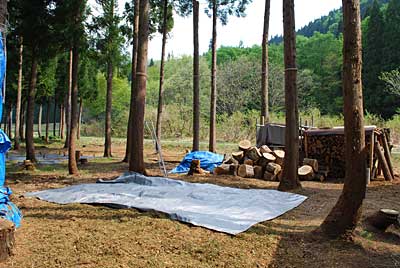 簡易作業兼休憩所用の天幕を 張ることにしました。