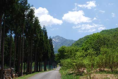 今日は空気が澄んで新緑がきれいでした！