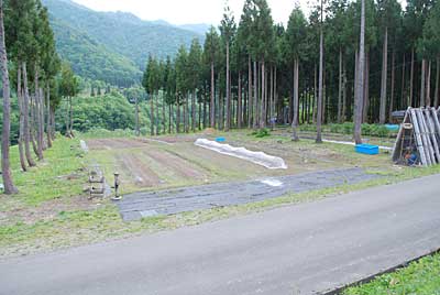 前日、農園のメインの畑に木灰を撒いてから管理機のポチで耕耘しておきました。