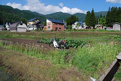 通称、下の畑です。