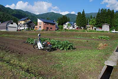 約３０分で終了しました。