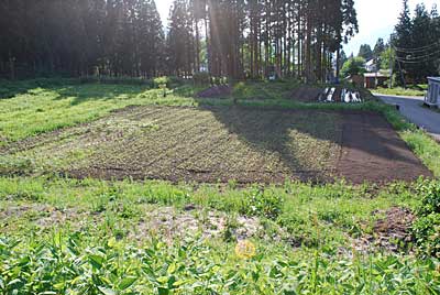 次は、ため池の下の畑です。