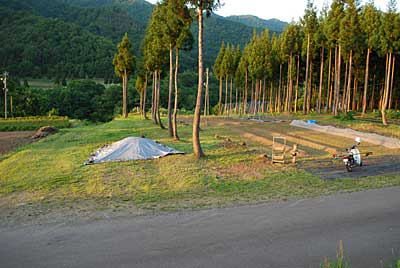 夜、消防の走法の練習があるので、ダッシュで刈り払いました。