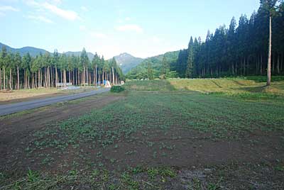 農園のそばのため池の法面も草刈りしました。