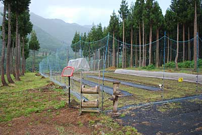 運良く？アミを３本、張ったら雨が降って来て作業中止です。