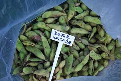 この大豆で、手前味噌を作るのが夢です。