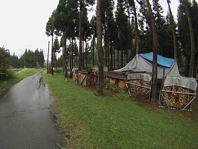 農園の看板の前の草刈りも完了しました。