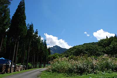 朝から秋晴れで作業するにも気持ちの良い一日になりました。