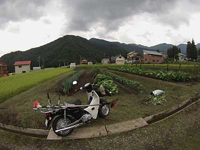 約２時間かかって草刈りが完了しました。