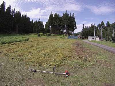 お昼を過ぎてしまいましたが、何とか午前中で終わることが出来ました。