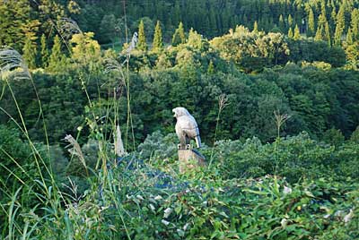 イヌワシ君もこの時期になると何か寂しそうです。