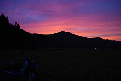 今日は、めちゃくちゃ夕焼けがきれいでした。