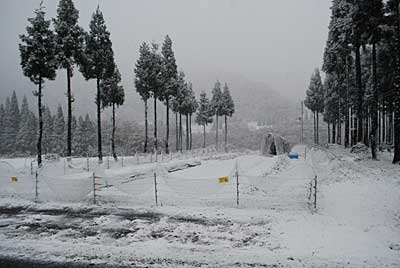 雪でアミが潰れてしまいました。