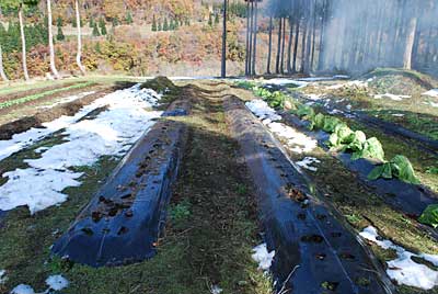 何とかお昼までに撤収できました。