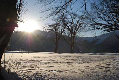 お天気が良いと、雪景色がメチャきれいになります。