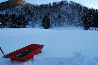 雪に埋まってプチベールは、全く見えません。