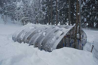 念のためハウスの周りの除雪をして屋根の雪を落としました。