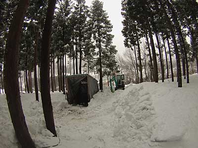 今日は雪室にユンボで雪入れをしました。