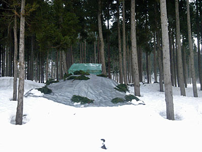 雪室にシートをかけてきました。