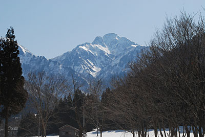 今日は、メチャクチャ朝から快晴です。