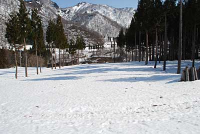 畑の雪は、まだ２ｍ近くありました。