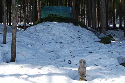 ２～３日前の強風で、雪室のシートがめくられていました。