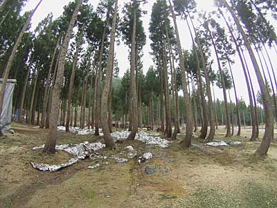 約２日間かかって、片付けが終了しました。