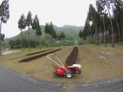 午後から、神楽なんばん用の畑を作りました。