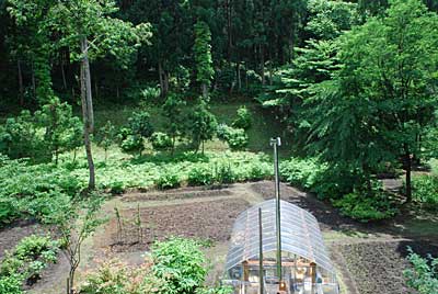 ハウスの裏の斜面の草刈りも途中までしました。