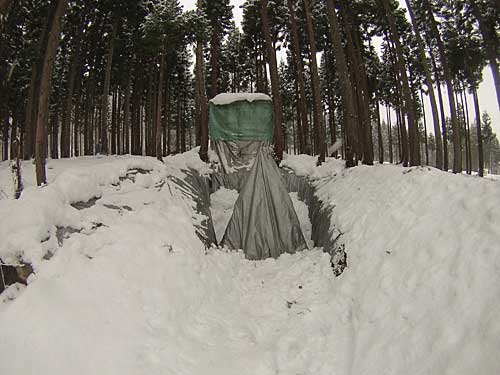 シルバーシートを巻いて来年の6月まで雪で貯蔵します。