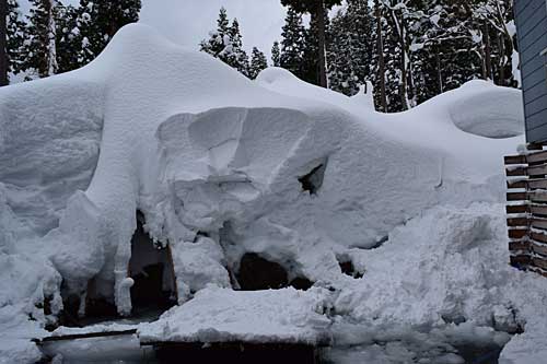 庭木の雪囲い、埋まってしまいました。