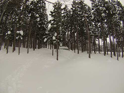 雪室の小屋も雪に埋まっていました。