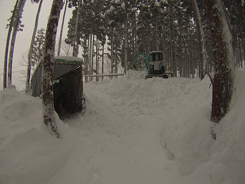 除雪した雪の高さも３ｍくらいになってしまいました。