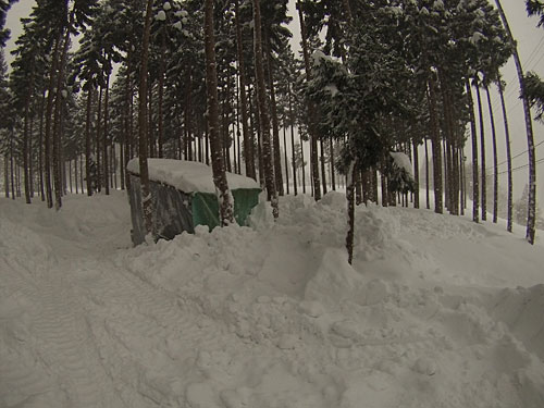 片側だけ雪室に雪を入れました。