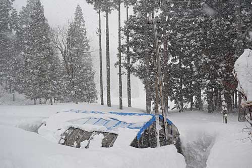 今日も沢山雪が積もりました。