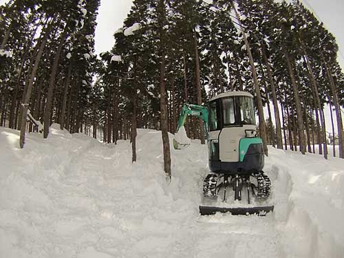 雪室に雪入れ。