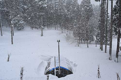 今日もまたまた雪。