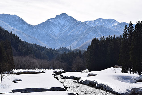 昨日の雪で大源太山が雪化粧しました。