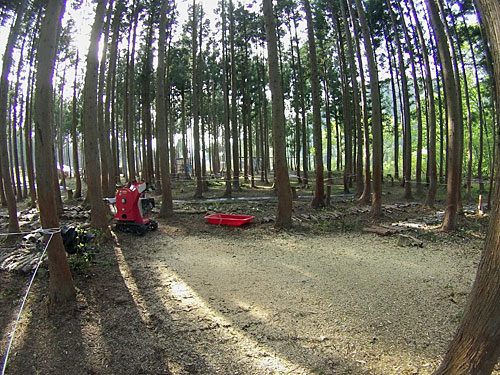 桜の良い香りがして幸せな一時を過ごすことが出来ました。