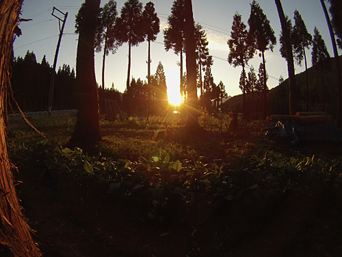 夕陽がメチャ綺麗でした。