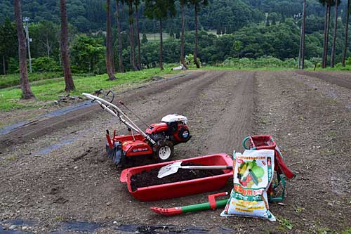 管理機のポチで耕耘しました。