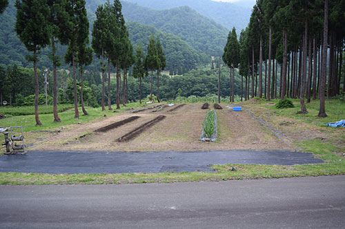 とりあえず、短期間で畑が完成しました。