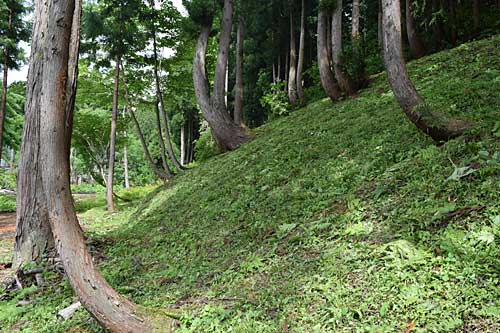 安心して草刈り機の操作が出来ます。